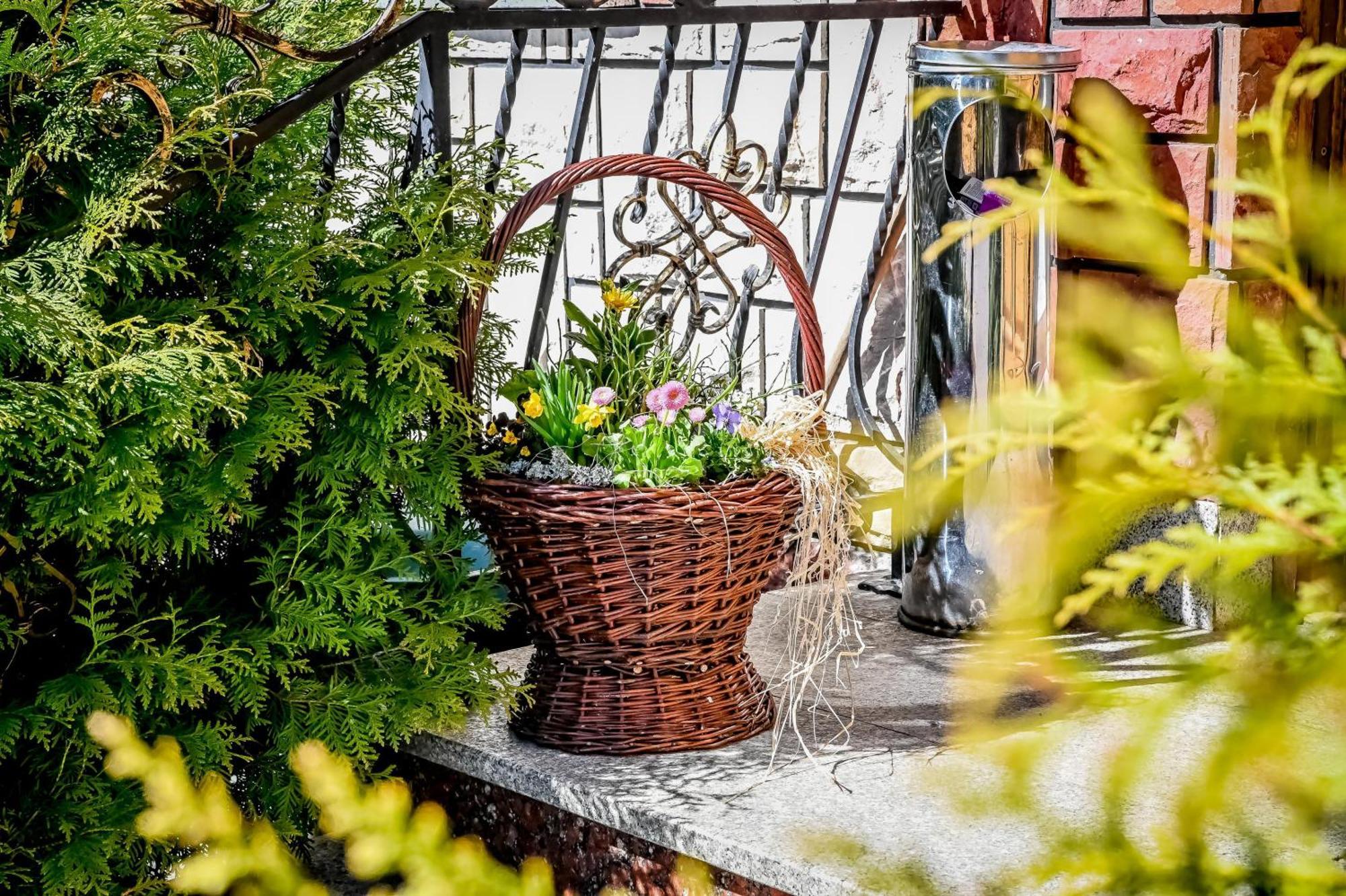 Domek U Horarow Ciche  外观 照片